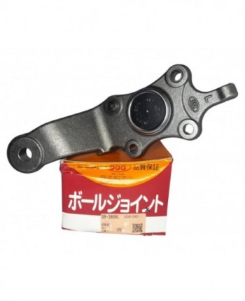 MUÑON INFERIOR (LH)...