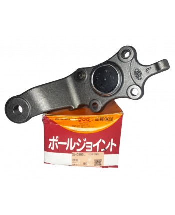 MUÑON INFERIOR (LH)...