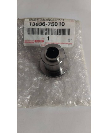 El "shaft cadena de tiempo...